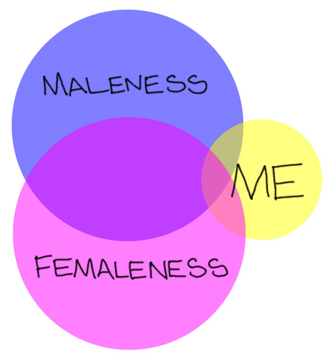 maleness femaleness me venn mixedqueer